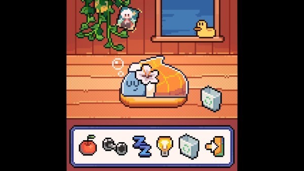 我的vns威尼斯正式官网游戏下载-我的vns威尼斯正式官网warma游戏最新版下载 v1.0 安卓版