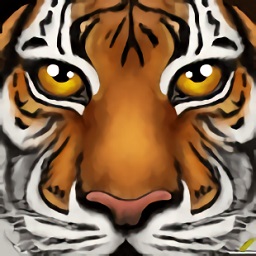 新濠天地官网下载手机版-新濠天地官网最新版本下载 v1.1 安卓版